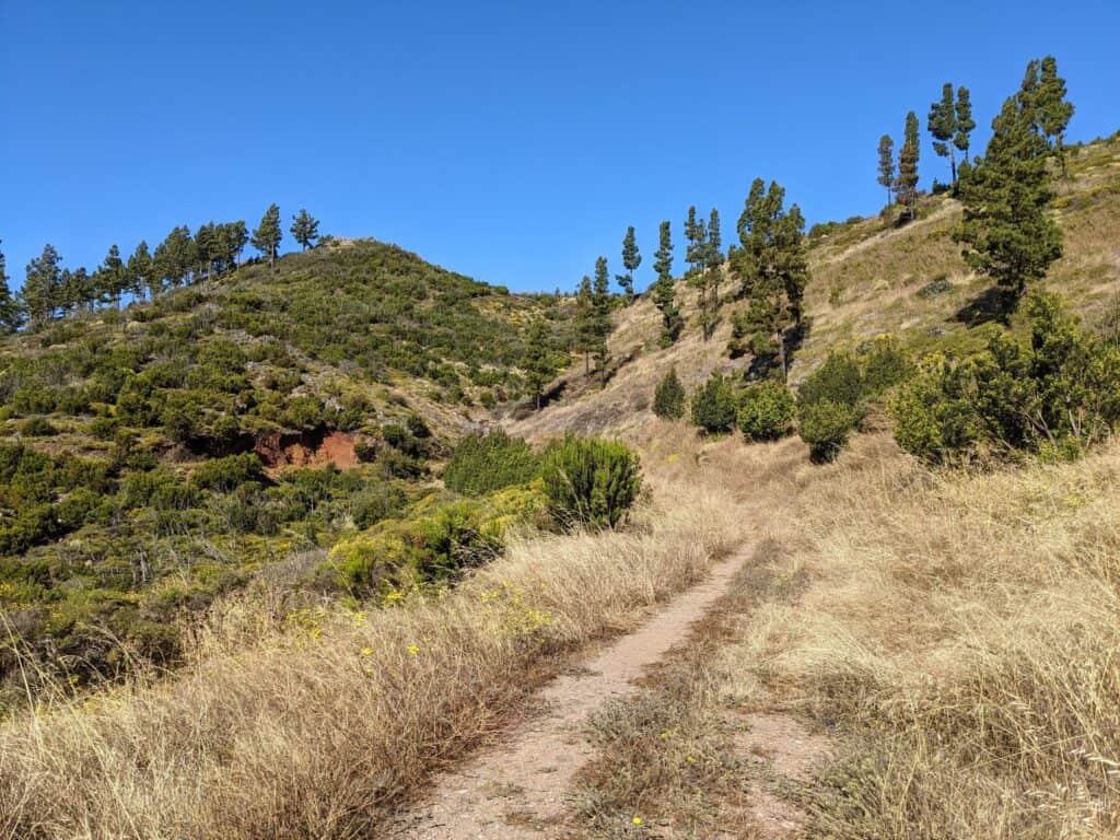 Wanderweg durch trockenes Gras, dahinter bewaldete Hügel