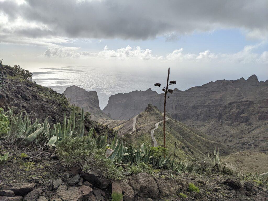 Blick über Schluchten zum Atlantik, davor Agaven