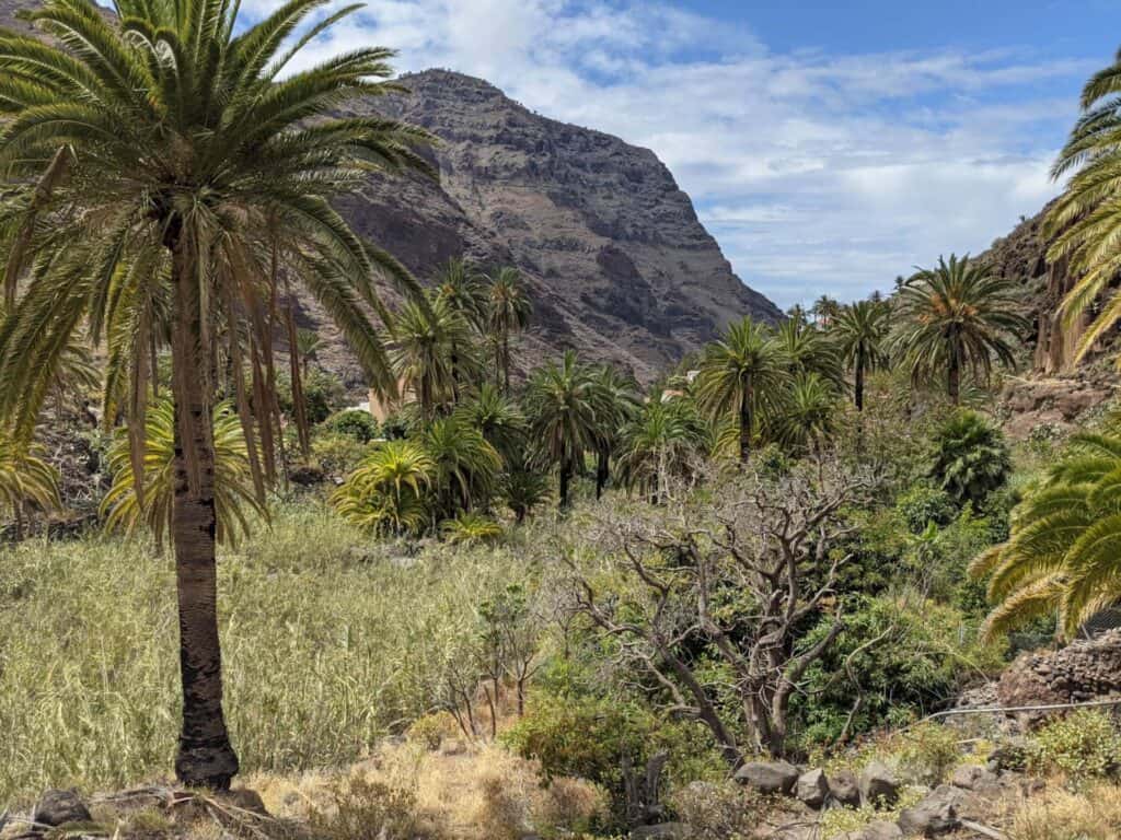 Ferienwohnung Valle Gran Rey „Maria y Mar“ – Wanderung zwischen Palmen