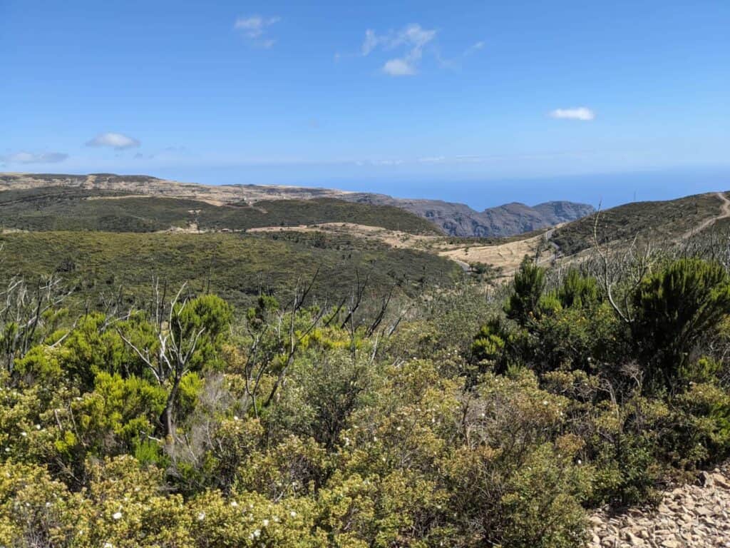 Ferienwohnung Valle Gran Rey „Maria y Mar“ – Eine der zahlreichen Vegetationszonen auf La Gomera